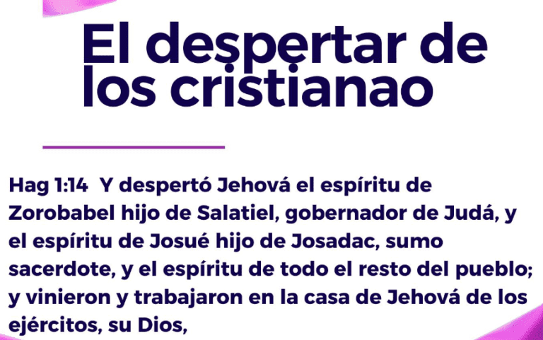imagen-1
